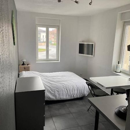 Studio2 Proche Fac Climatise Albi Exterior foto