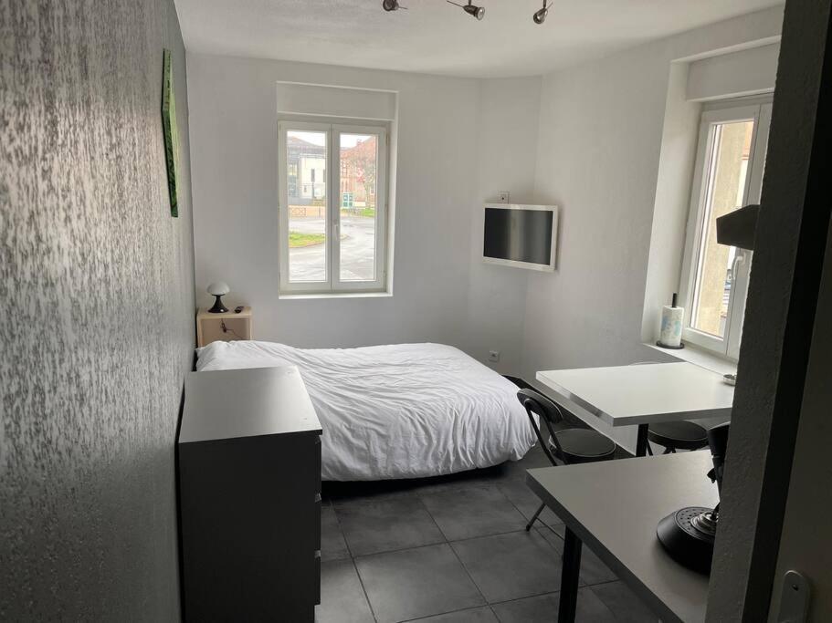 Studio2 Proche Fac Climatise Albi Exterior foto